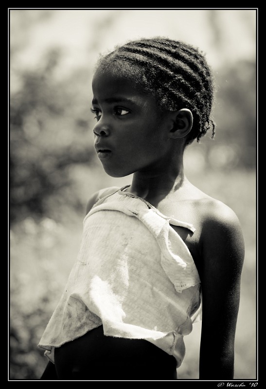Portrait 2.jpg